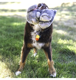 Kong Company Kong Toughz Bunny Dog Toy