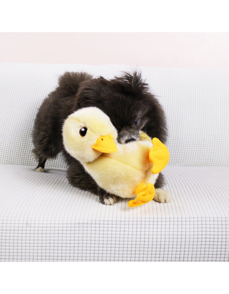 Kong Company Kong Toughz Duck Dog Toy