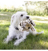 Kong Company Kong Toughz Pup Dog Toy