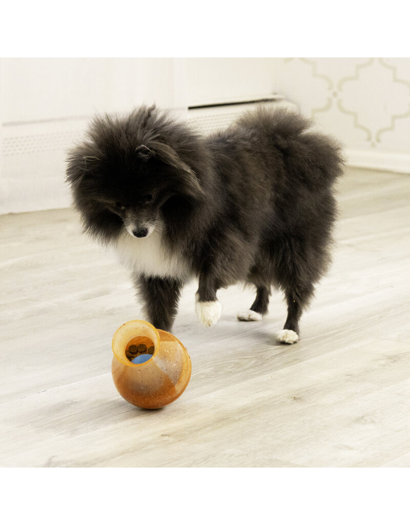 Kong Company Kong Rewards Tipsy Dog Toy