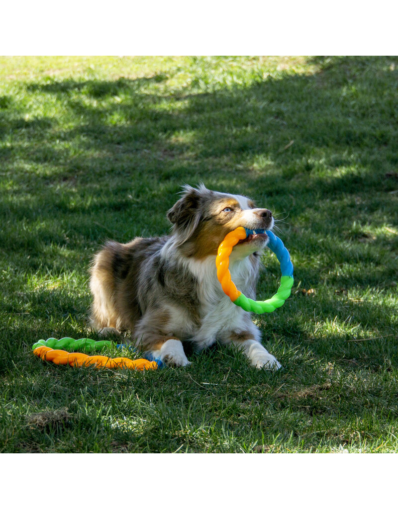 Kong Company Kong Twistz High-Viz Ring