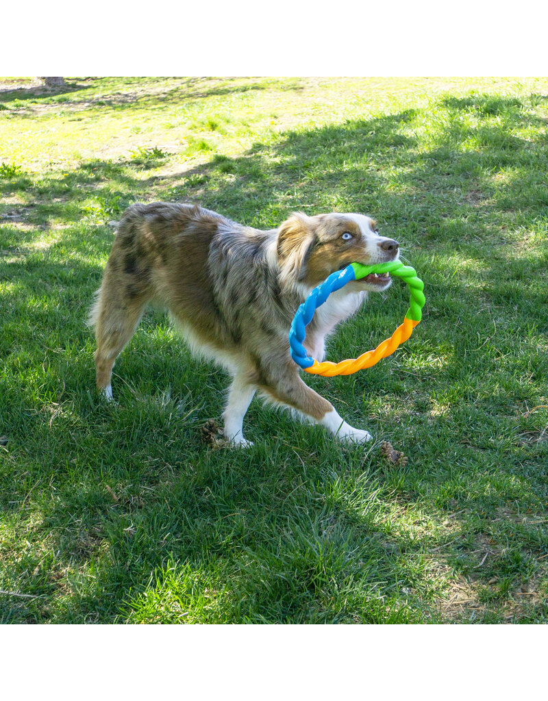 Kong Company Kong Twistz High-Viz Ring