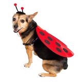 Pet Krewe Pet Krewe Ladybug Dog Costume