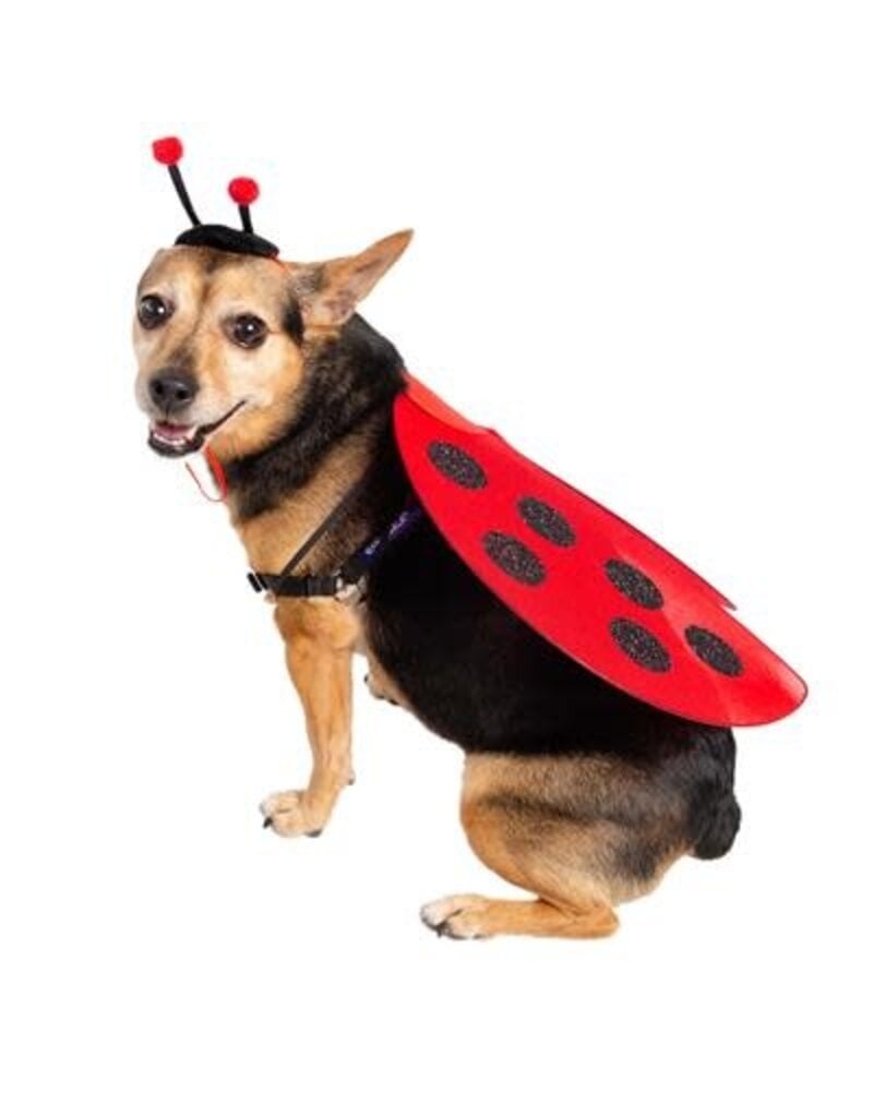 Pet Krewe Pet Krewe Ladybug Dog Costume