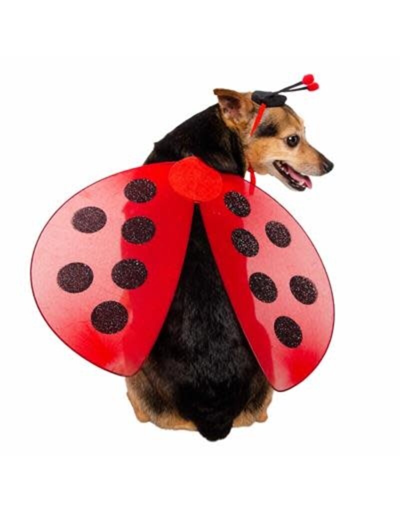 Pet Krewe Pet Krewe Ladybug Dog Costume