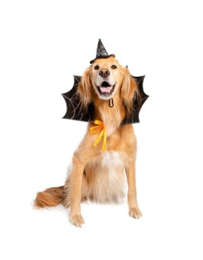 Pet Krewe Pet Krewe Witch Hat and Collar Dog Costume Lg