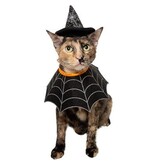 Pet Krewe Pet Krewe Witch Hat and Collar Dog Costume Sm