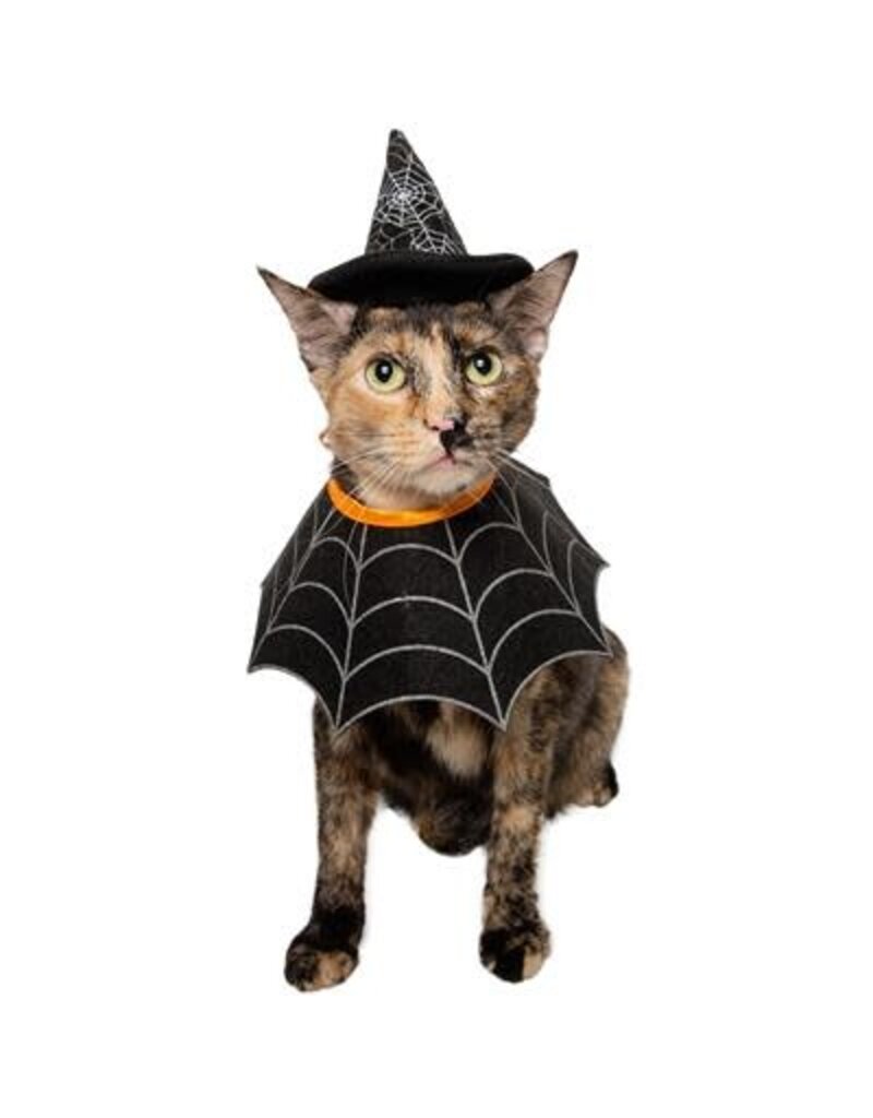 Pet Krewe Pet Krewe Witch Hat and Collar Dog Costume Sm