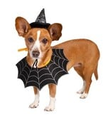 Pet Krewe Pet Krewe Witch Hat and Collar Dog Costume Sm