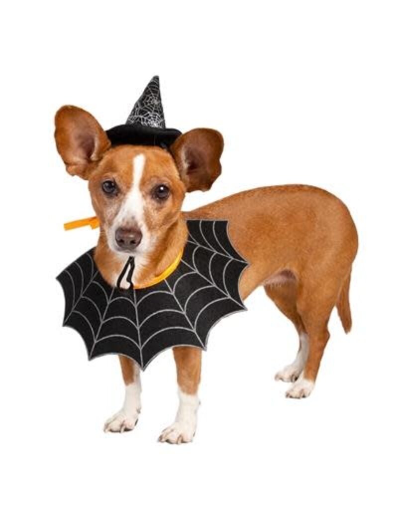 Pet Krewe Pet Krewe Witch Hat and Collar Dog Costume Sm