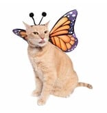 Pet Krewe Pet Krewe Butterfly Wing and Hat