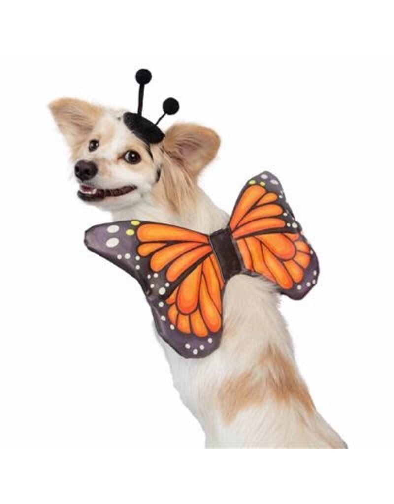 Pet Krewe Pet Krewe Butterfly Wing and Hat