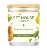 Pet House by One Fur All Pets Pet House Candle Autumn Scents 9oz