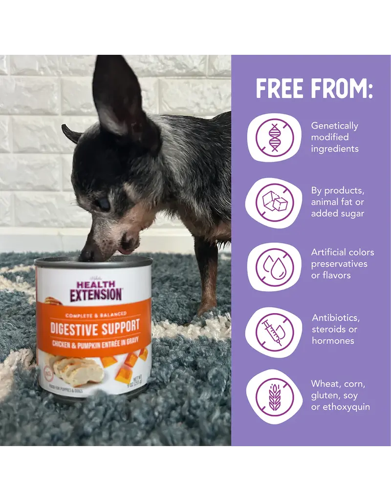 Health Extension Health Extension Digestive Chicken & Pumpkin Dog Food Can 9 Oz
