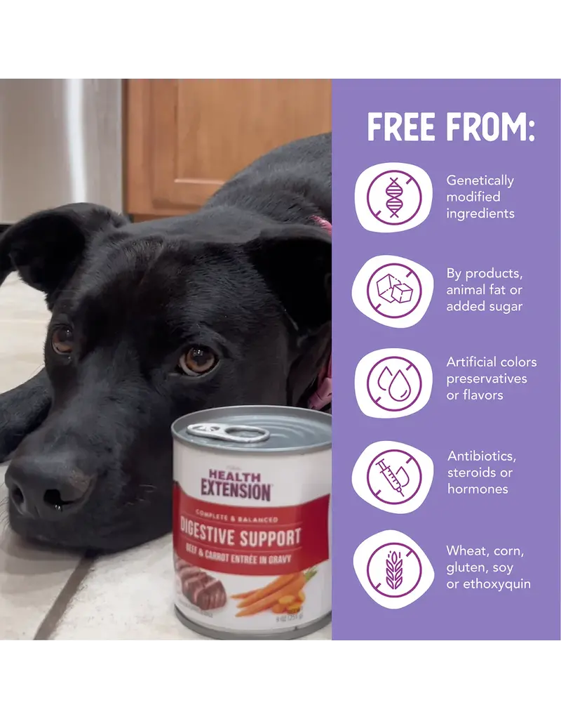 Health Extension Health Extension Digestive Beef & Carrot Dog Food Cans 9 Oz