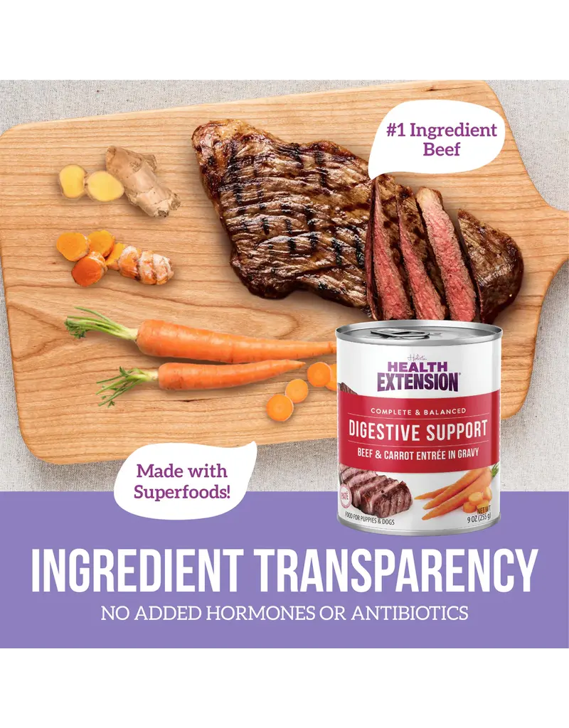 Health Extension Health Extension Digestive Beef & Carrot Dog Food Cans 9 Oz