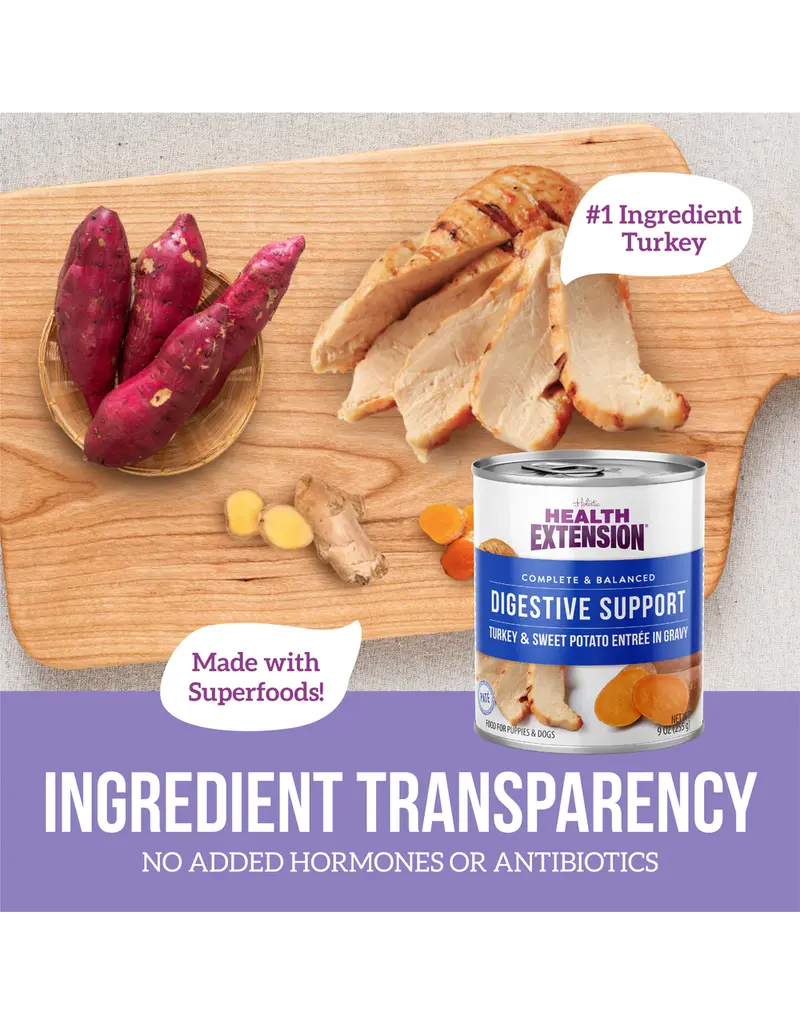 Health Extension Health Extension Digestive Turkey & Sweet Potato Dog Food Cans 9 Oz