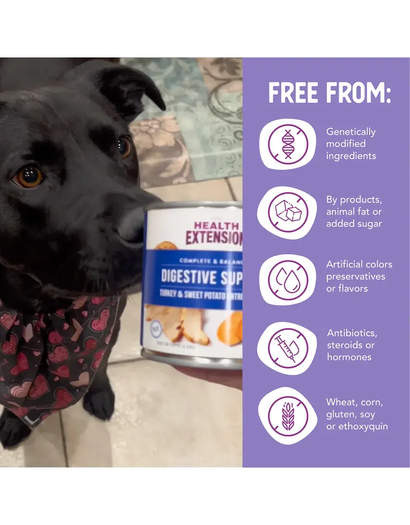 Health Extension Health Extension Digestive Turkey & Sweet Potato Dog Food Cans 9 Oz