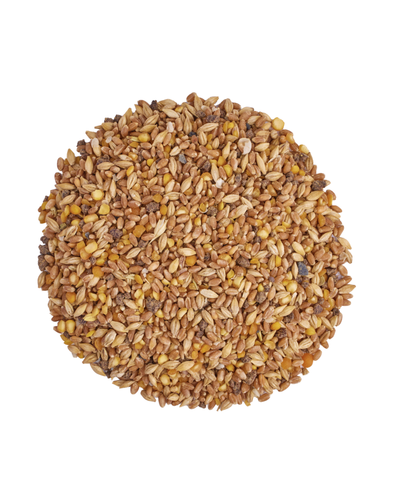 Scratch and Peck Scratch & Peck Organic Chicken & Duck Grower Mash 10Lb