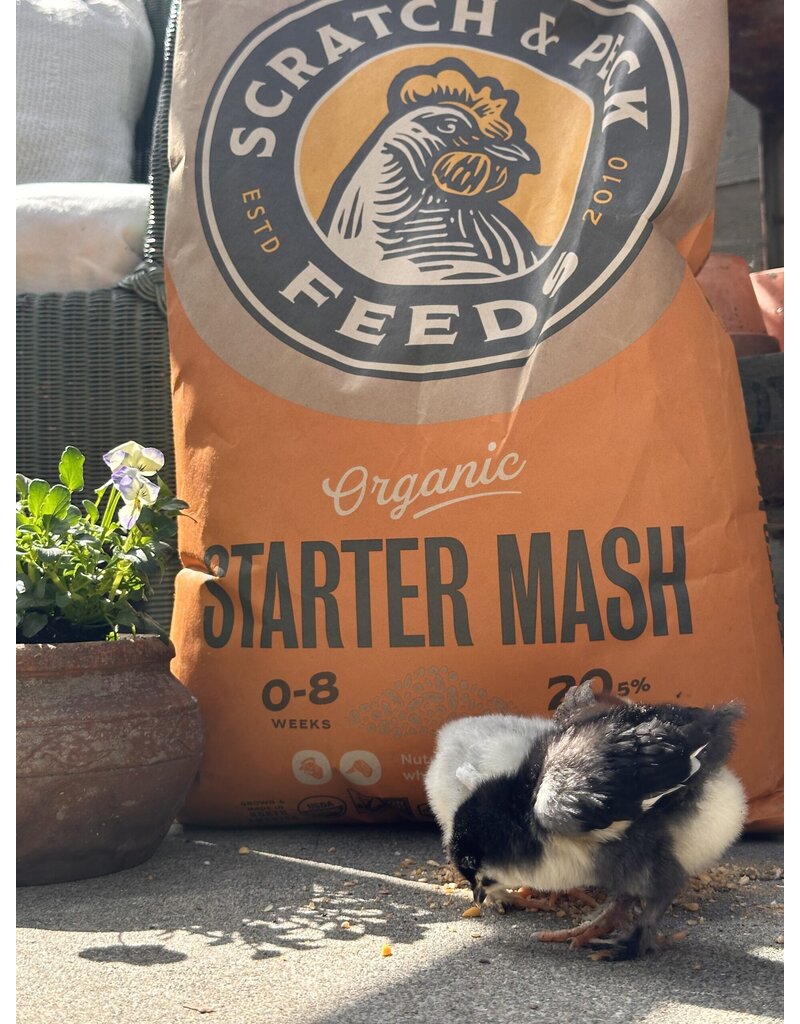 Scratch and Peck Scratch & Peck Organic Chicken & Duck Starter Mash 10 Lb