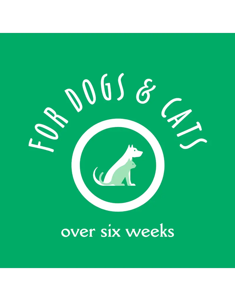 Earthbath Earthbath Shea Butter Shampoo 16 Oz