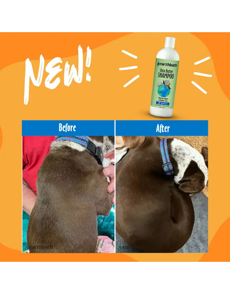 Earthbath Earthbath Shea Butter Shampoo 16 Oz