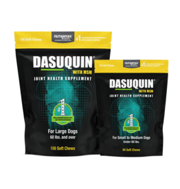 Nutramax Labs Dasuquin Joint Supplement with MSM Soft Chews for Dogs