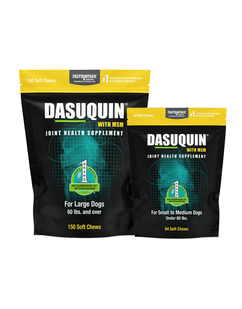 Nutramax Labs Dasuquin Joint Supplement with MSM Soft Chews for Dogs
