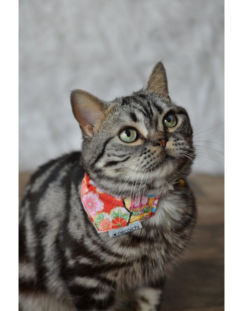 Necoichi Necoichi Bandana Cat Collar with Air Tag Pocket