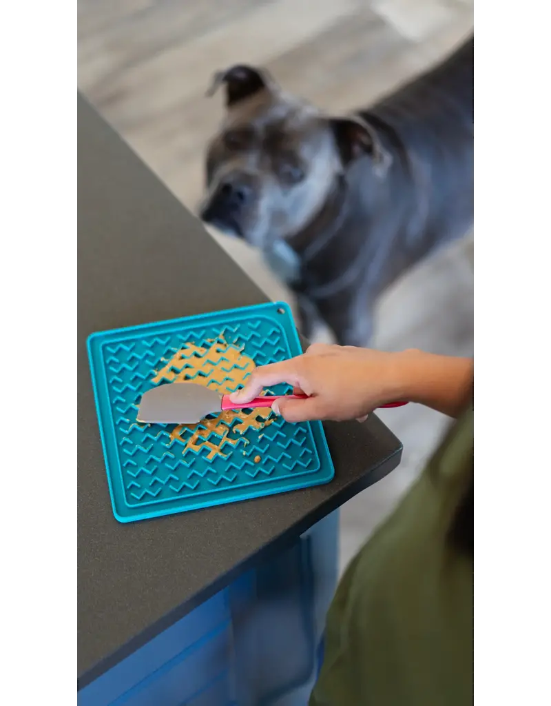 Messy Mutts Messy Mutt Dog Lickin Mat Assorted