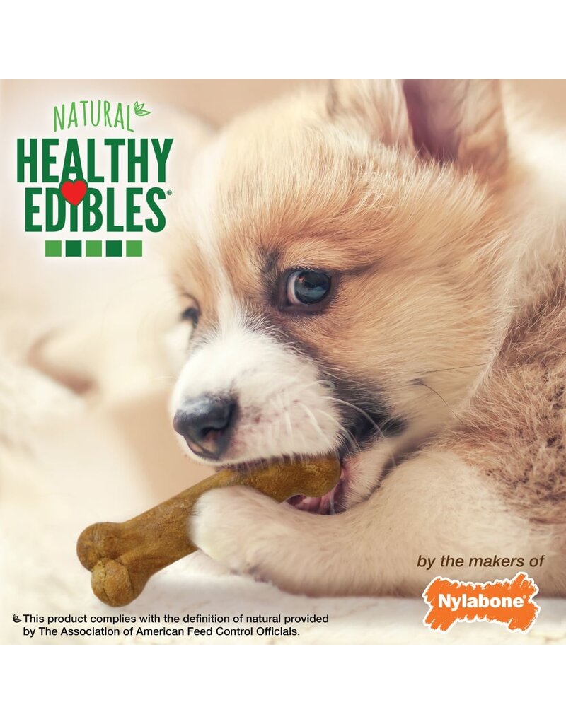 Nylabone Nylabone Healthy Edibles Puppy Bone Dog Treat