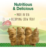 Nylabone Nylabone Healthy Edibles Puppy Bone Dog Treat