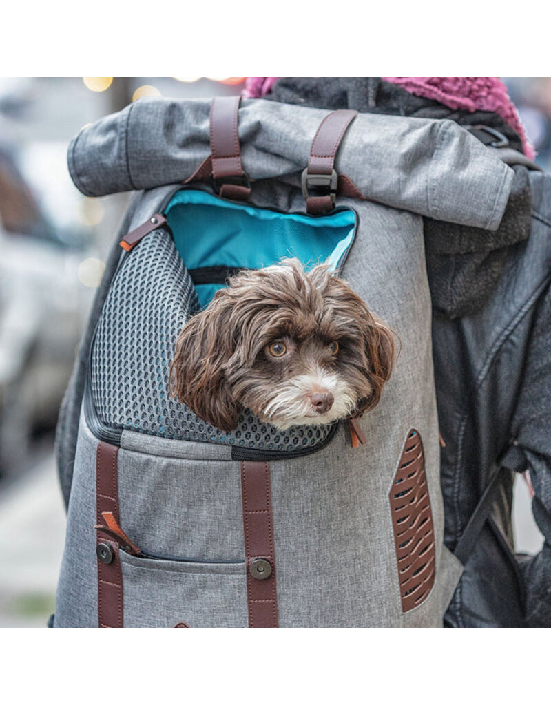 Kurgo Kurgo Rucksack Gray 12.5X9x18.5In