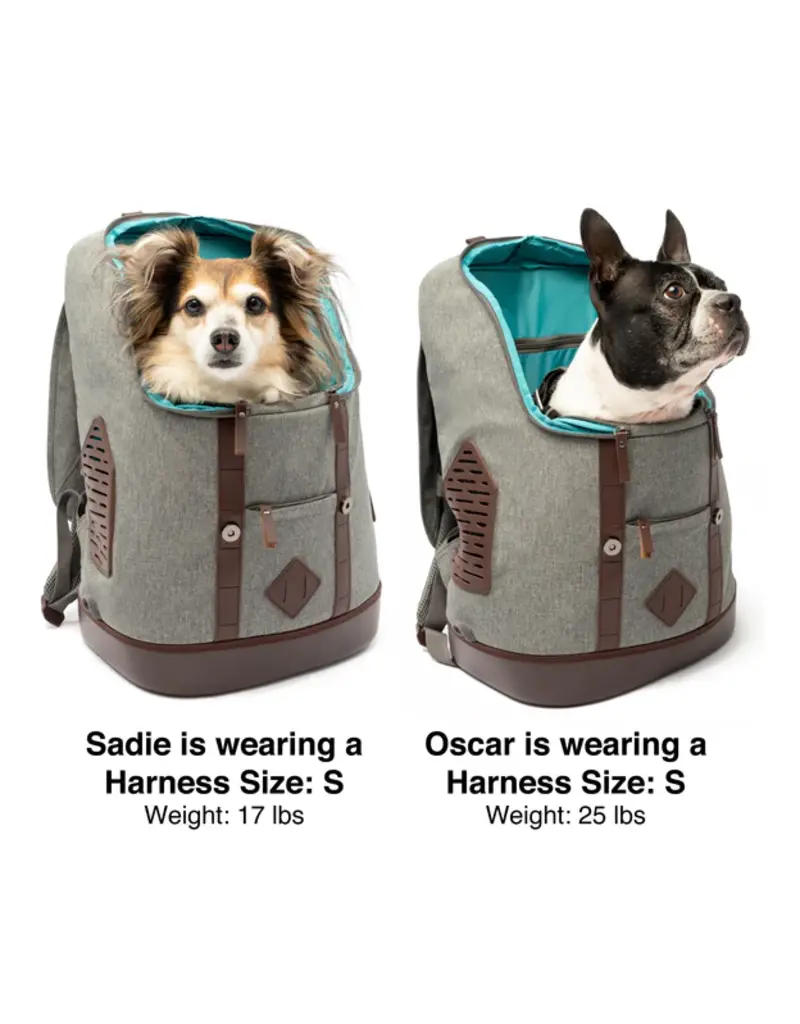 Kurgo Kurgo Rucksack Gray 12.5X9x18.5In