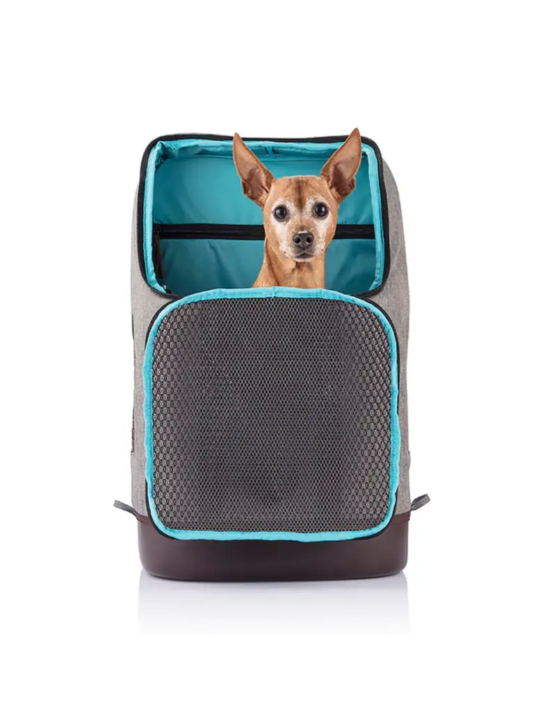 Kurgo Kurgo Rucksack Gray 12.5X9x18.5In