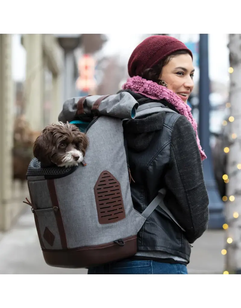 Kurgo Kurgo Rucksack Gray 12.5X9x18.5In