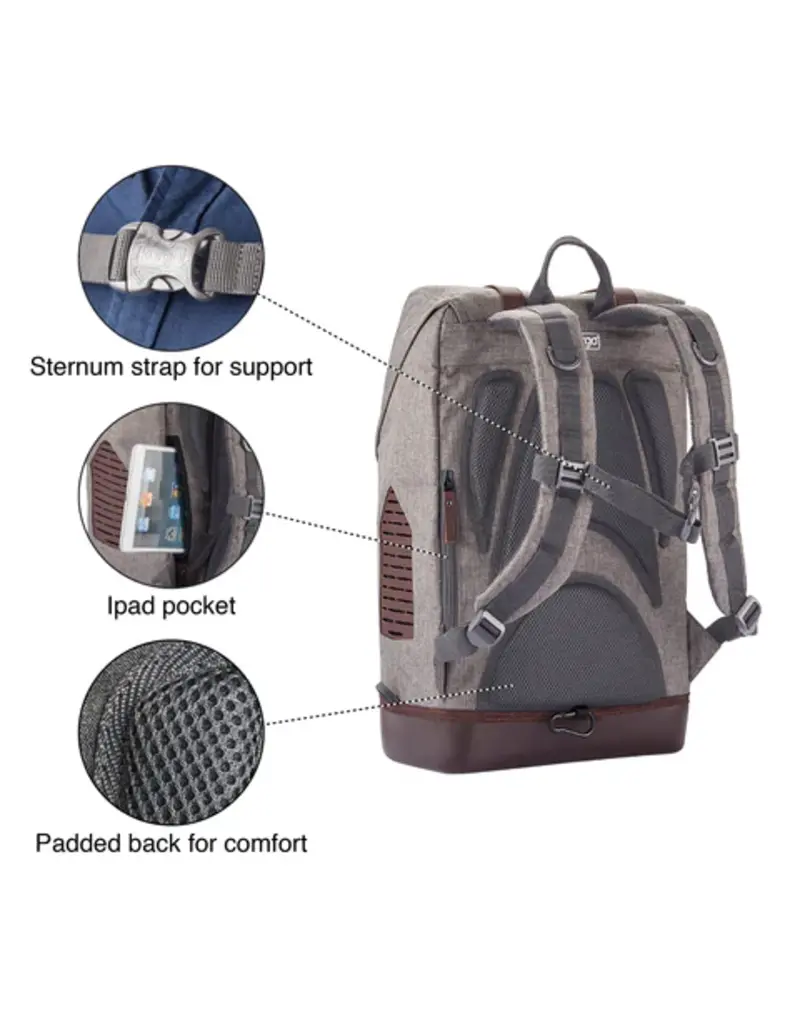 Kurgo Kurgo Rucksack Gray 12.5X9x18.5In