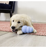 Kong Company Kong Ziggies Enhanced Puppy Treats