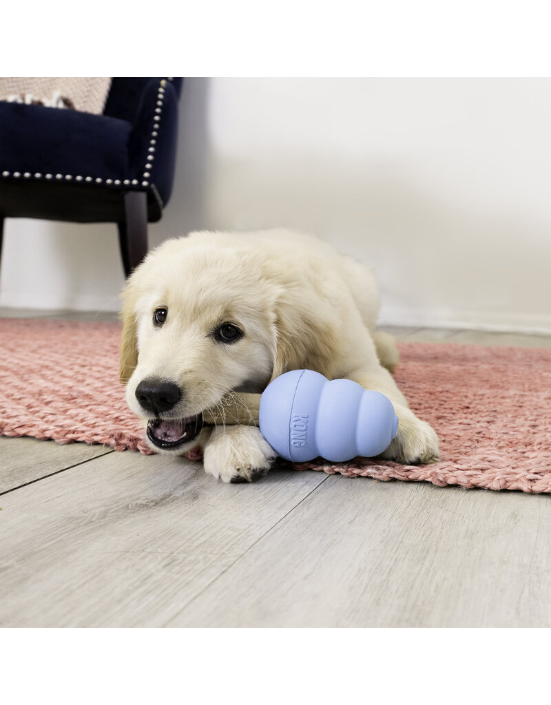 Kong Company Kong Ziggies Enhanced Puppy Treats