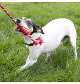 Kong Company Kong Dental with Rope