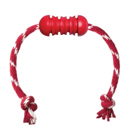 Kong Company Kong Dental with Rope