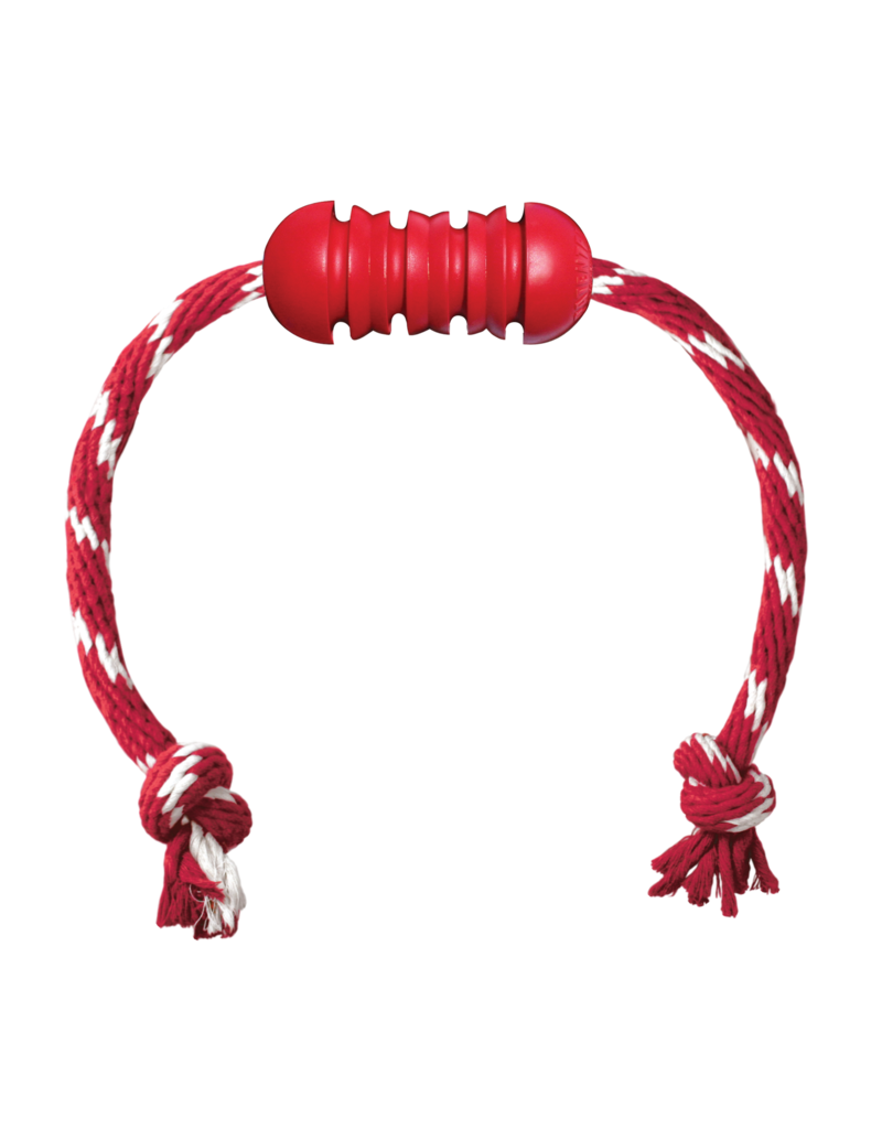 Kong Company Kong Dental with Rope
