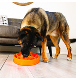 Kong Company Kong Licks Mealtime