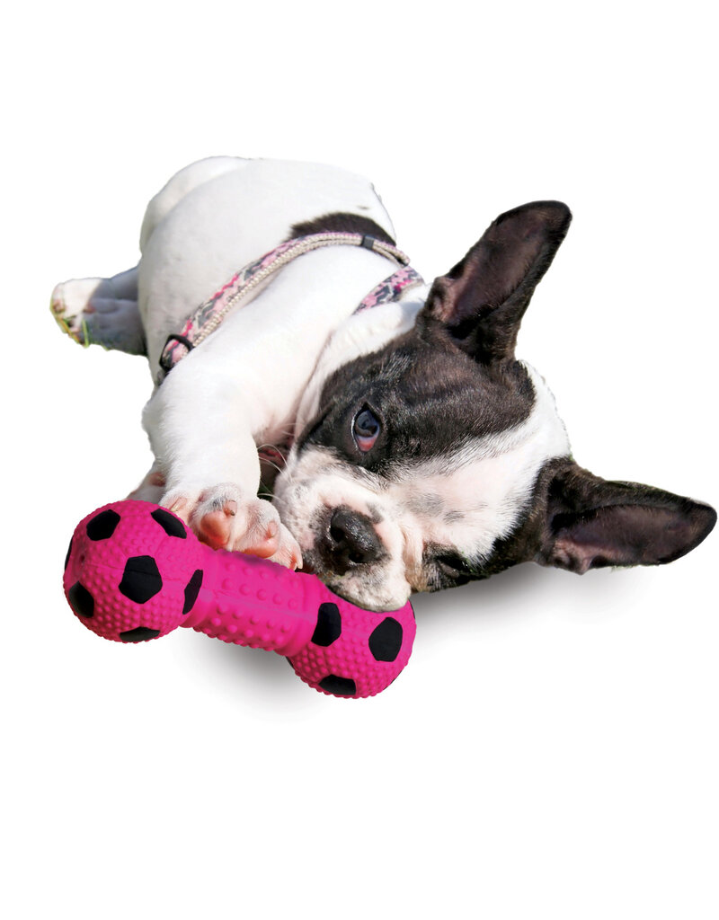 Ethical Pet Spot Stuffed Soccer Ball Dumbbell Dog Toy