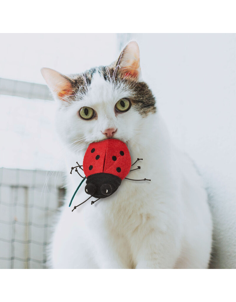 Ethical Pet Insects Asst Cat Toys 5 In