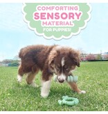 Nylabone Nylabone Puppy Teething Ring Chicken Small