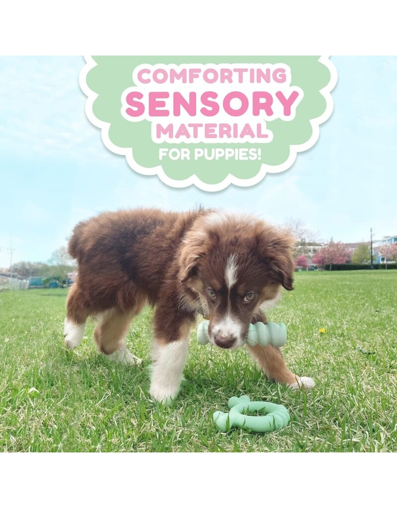 Nylabone Nylabone Puppy Teething Ring Chicken Small