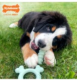 Nylabone Nylabone Puppy Teething Ring Chicken Small