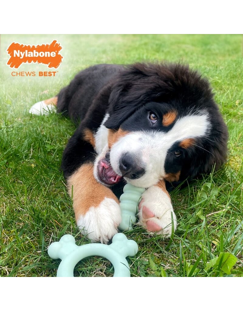 Nylabone Nylabone Puppy Teething Ring Chicken Small