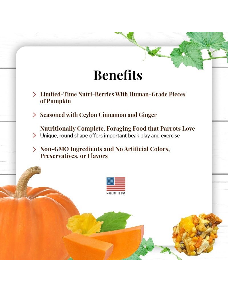Lafeber Lafeber Company Pumpkin Spice Nutri-Berries for Parrots 10 Oz